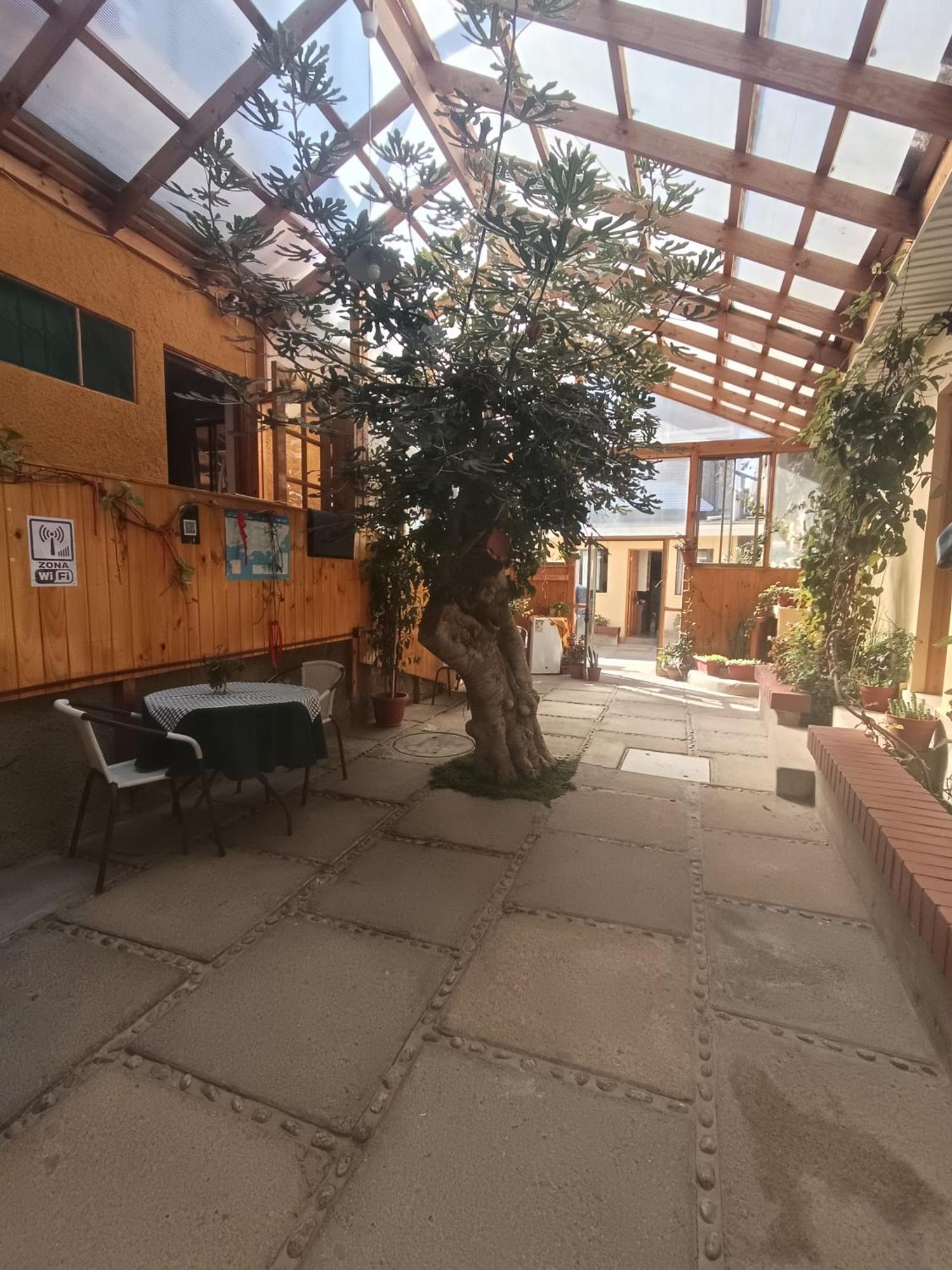 Hostal Julia Scheffau am Wilden Kaiser Exterior foto